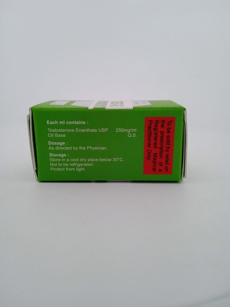 TEST-E - 250MG/1ML - 1 VIAL OF 10 ML - Image 2