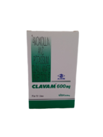 CLAVAM 600 MG - 1 VIAL