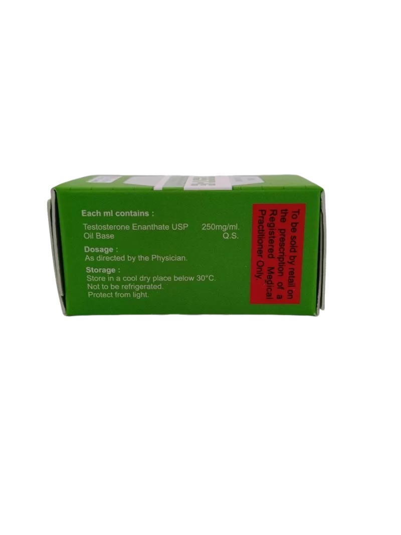TEST-E - 250MG/1ML - 1 VIAL OF 10 ML - Image 2