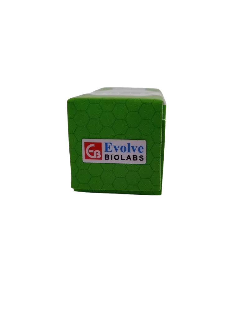 TEST-E - 250MG/1ML - 1 VIAL OF 10 ML - Image 4