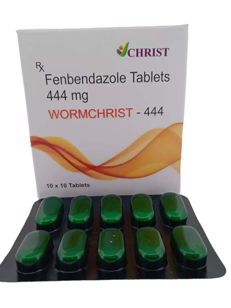 WORMCHRIST 444 MG - 10 Tablets - Image 2